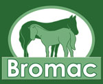 Bromac Lodge
