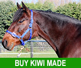 Buy Kiwi Made Stallion